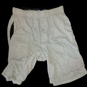 Hanes Grey Shorts Men Size Small Used Excellent Condition